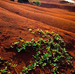 《黑神话：悟空》在PS5上优化得不错 能达到2K＆60帧